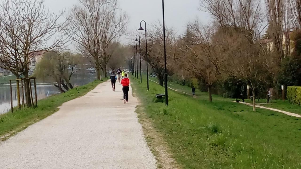 Vicino Al Prato Della Valle Intero Appartamento Parcheggio Facile Di Fronte Padova Exteriér fotografie